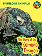 The Story of the Komodo Dragon