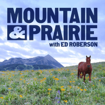 Mountain & Prairie with Ed Roberson