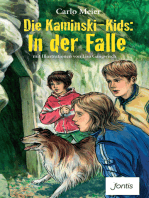 Die Kaminski-Kids: In der Falle: mit Illustrationen von Lisa Gangwisch