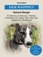 Der Whippet: Ernährung, Erziehung, Training, Charakter und vieles mehr über den Windhund