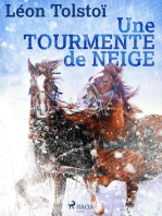 Une tourmente de neige