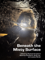 Beneath the Misty Surface