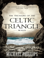 The Treasure of the Celtic Triangle