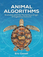 Animal Algorithms