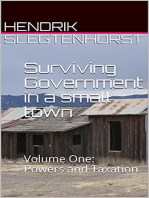 Surviving Government in a Small Town