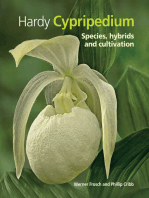Hardy Cypripedium