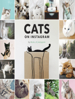 Cats on Instagram