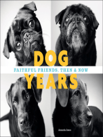 Dog Years: Faithful Friends, Then & Now