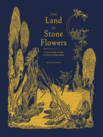 The Land of Stone Flowers: A Fairy Guide to the Mythical Human Being