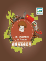 Mr. Mushroom in Yunnan