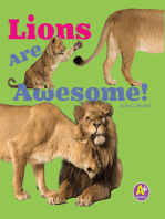 Lions Are Awesome!