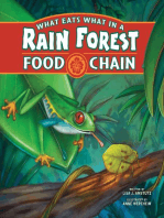 What Eats What in a Rain Forest Food Chain