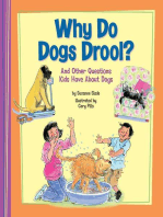 Why Do Dogs Drool?