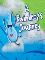 A Raindrop's Journey