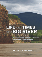 Life and Times of a Big River