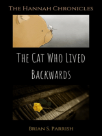 The Cat Who Lived Backwards