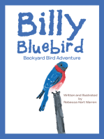 Billy Bluebird: Backyard Bird Adventure