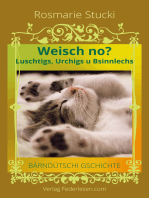 Weisch no?: Luschtigs, Urchigs u Bsinnlechs - Bärndütschi Gschichte