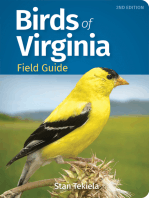 Birds of Virginia Field Guide