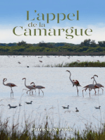L’appel de la Camargue