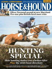 Hound at the hospital book report 07 image