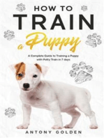 How to Train a Puppy: A Complete Guide to Training a Puppy with Potty Train in 7 days
