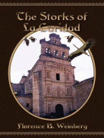 The Storks of La Caridad