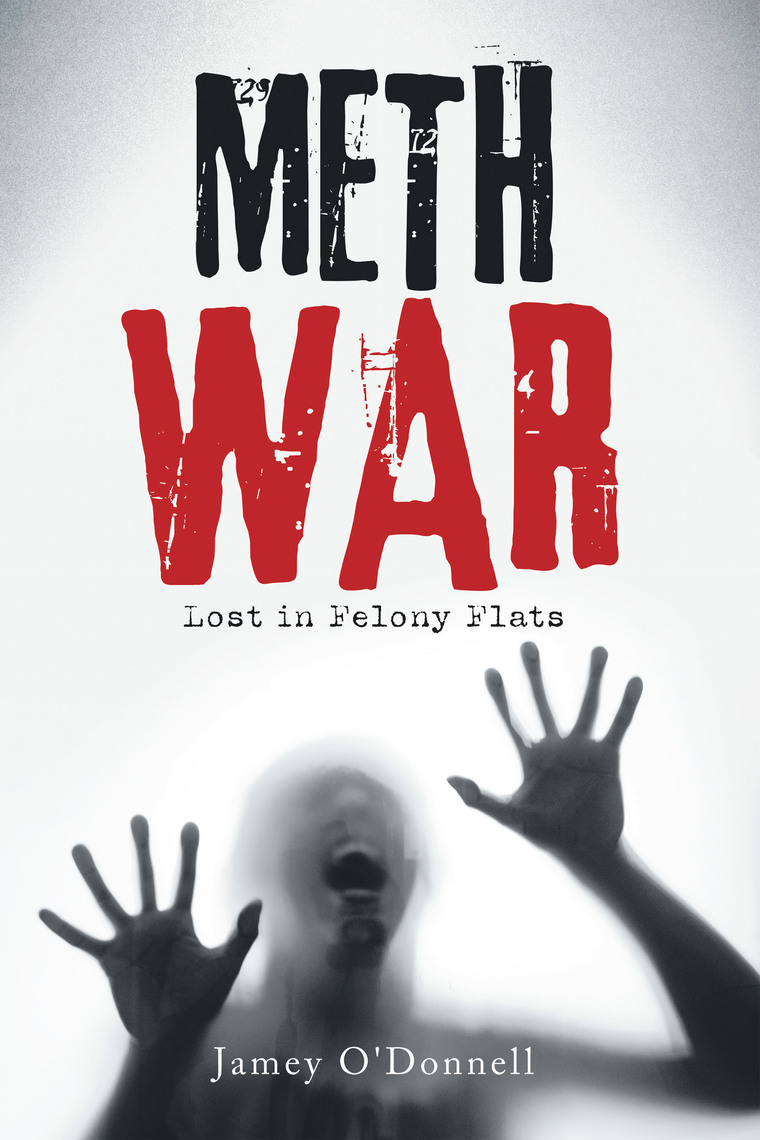 Meth War by Jamey ODonnell