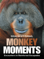 Monkey Moments: Encounters in Rainforest Escapades