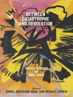 Between Catastrophe and Revolution: Essays in Honor of Mike Davis