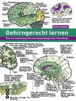 Gehirngerecht lernen (E-Book): Eine Lernanleitung auf neuropsychologischer Grundlage