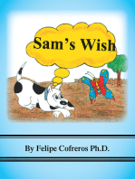 Sam's Wish