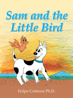 Sam and the Little Bird