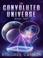 The Convoluted Universe Book 2