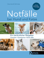 Notfälle bei Hund und Katze: Ein tierärztlicher Ratgeber