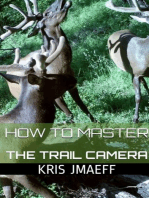 How to Master the Trail Camera