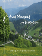 Heimat Schauinsland ... und die Wetterbuchen