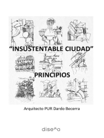 INSUSTENTABLE CIUDAD: Principios