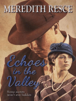 Echoes in the Valley