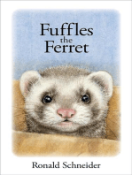 Fuffles the Ferret