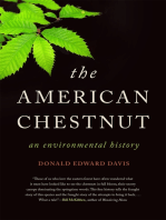 The American Chestnut