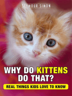 Why Do Kittens Do That?