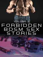 Forbidden BDSM Sex Stories - Volume 5: Hot Explicit Collection: 12 BDSM Stories