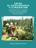 Entre el asentamiento y la migración: Transformaciones en la movilidad de jornaleros agrícolas indígenas y sistemas de intermediación laboral en Morelos