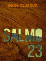 Salmo 23: Preciosa pérola do passado, poderosos princípios para o presente