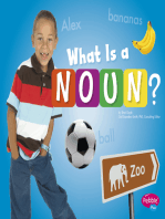 What Is a Noun?