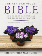 The African Violet Bible