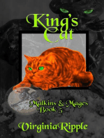 King's Cat