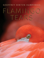 Flamingo Tears