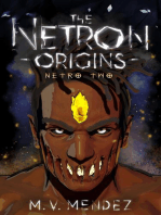 The Netron Origins